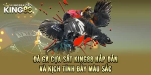 Đá Gà Cựa Sắt KING88 Hấp Dẫn Và Kịch Tính Đầy Màu Sắc