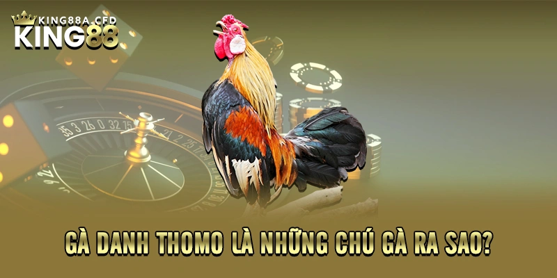 Gà danh Thomo là những chú gà ra sao?