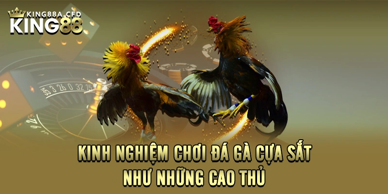 Kinh nghiệm chơi đá gà cựa sắt như những cao thủ