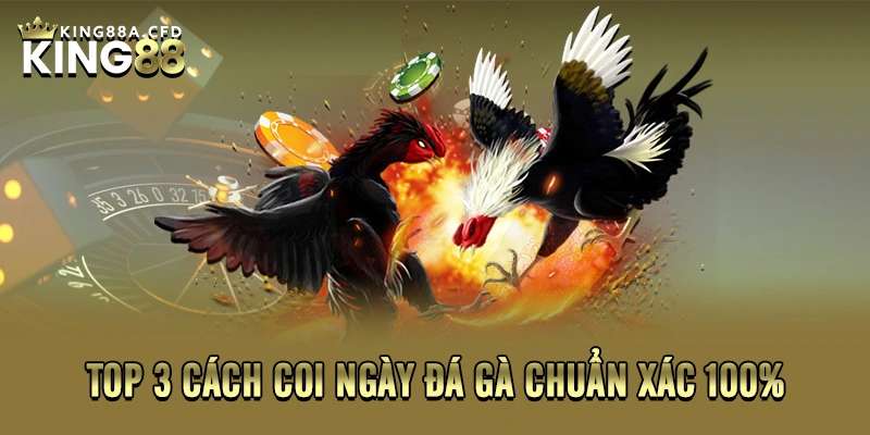 Top 3 cách coi ngày đá gà chuẩn xác 100%