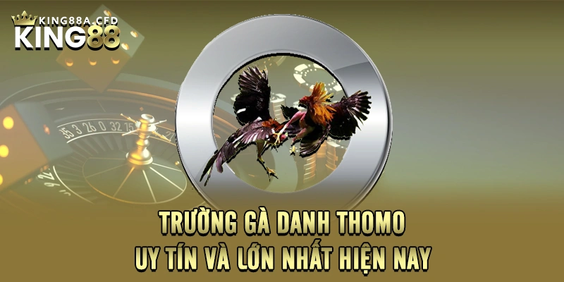 Trường gà danh thomo uy tín và lớn nhất hiện nay